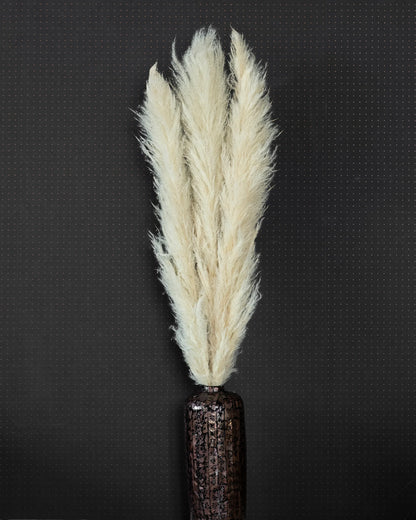 Jumbo Super Fluffy Pampas (3 Sticks)