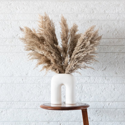 Pampas Grass Sticks in a White U Shaped Vase