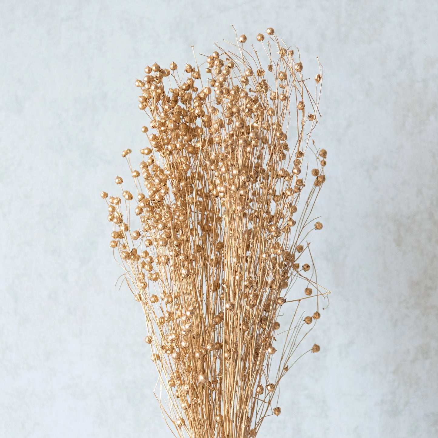 Gold Lino (100 Grams)