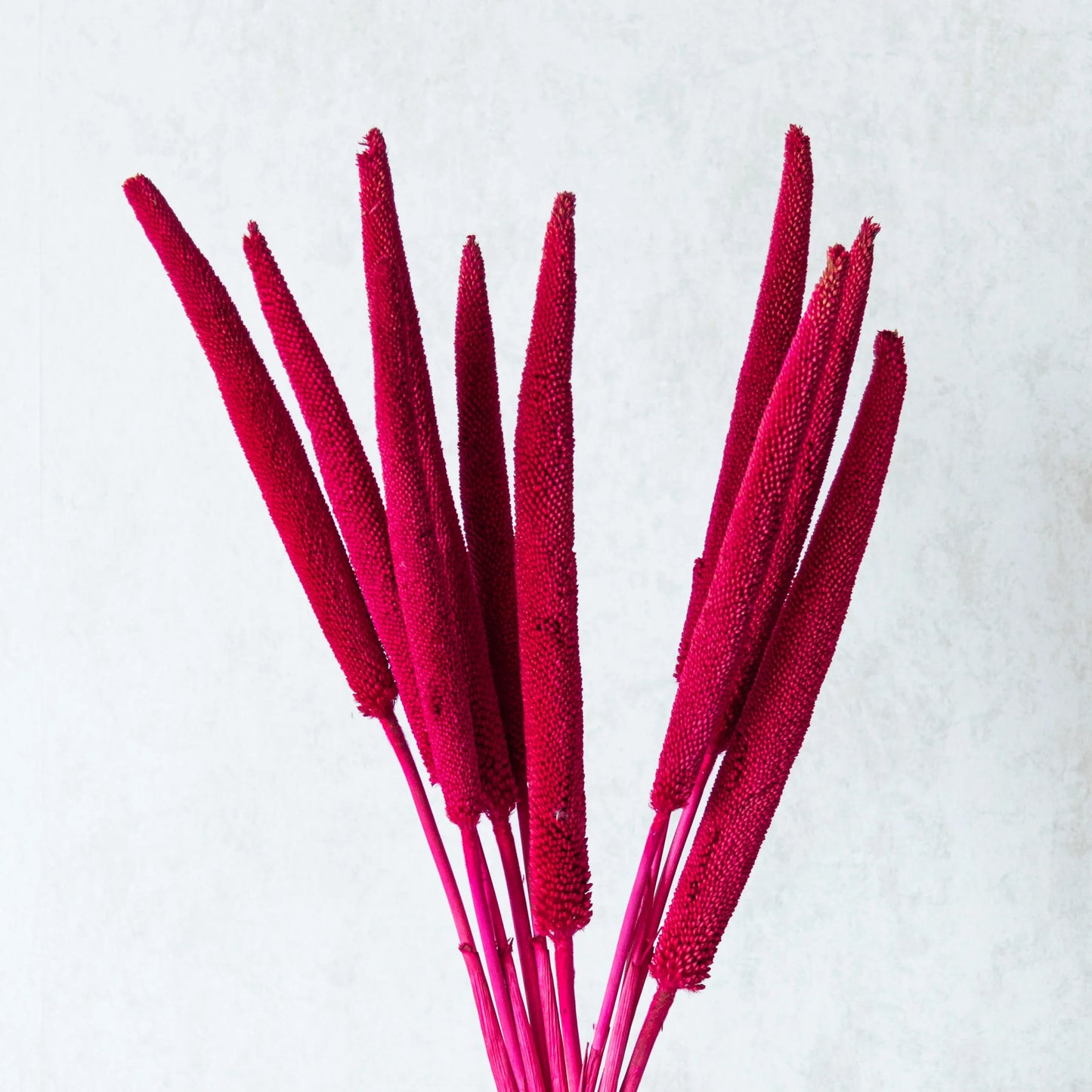 Pink Millet Sticks (Set of 10)