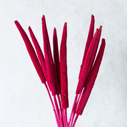 Pink Millet Sticks (Set of 10)
