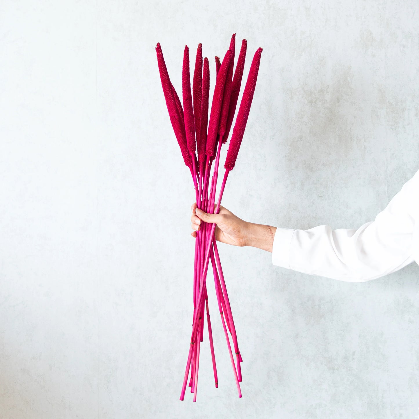 Pink Millet Sticks (Set of 10)