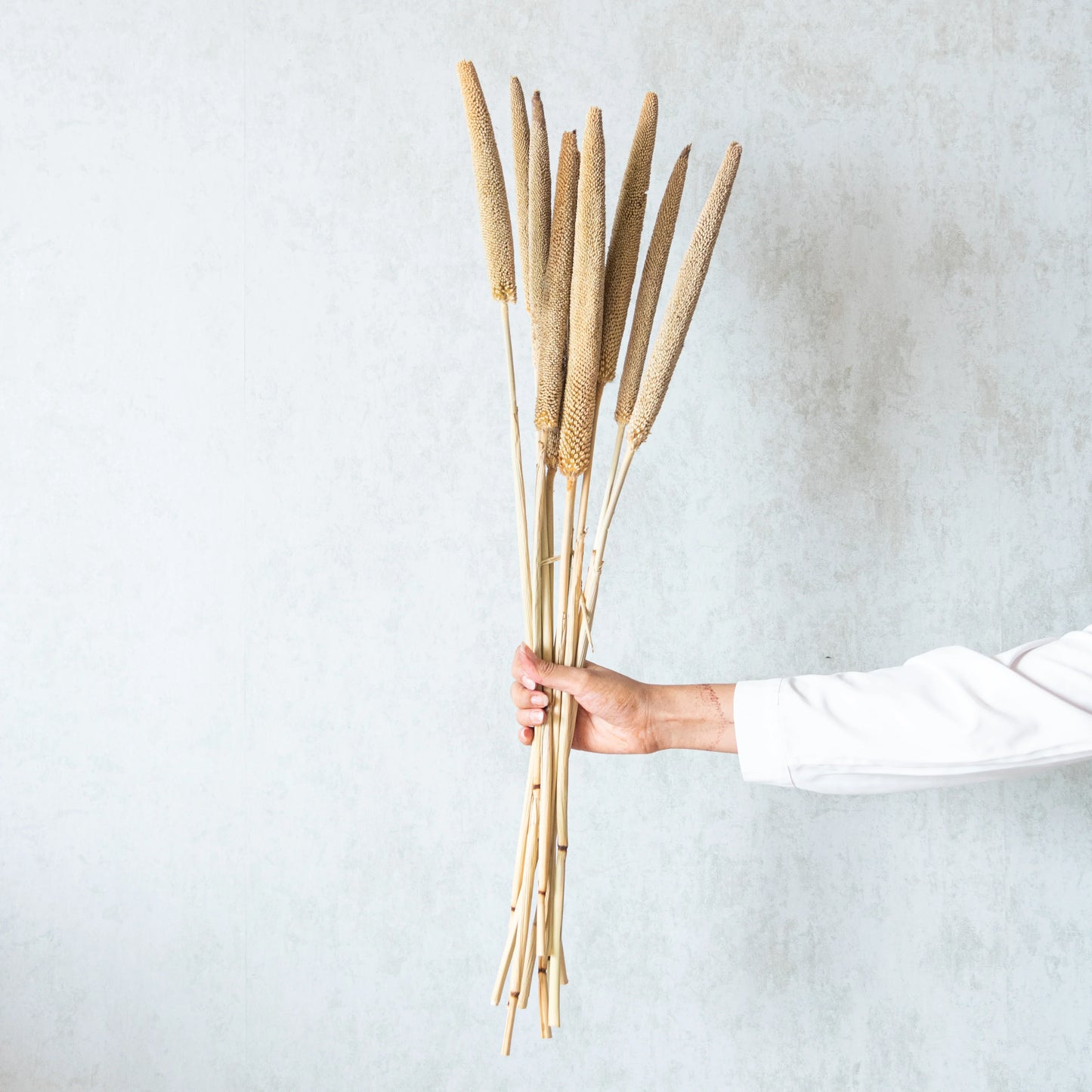 Beige Millet Sticks (Set of 10)