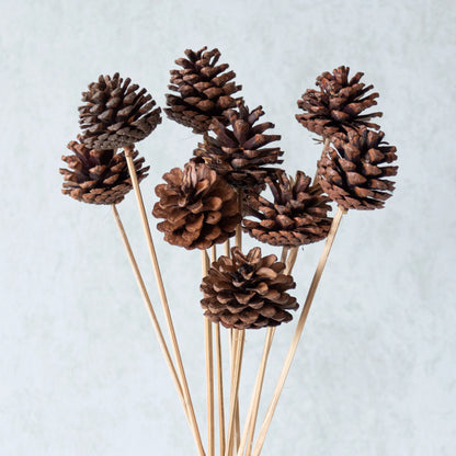 Pine Cone Sticks (Set of 10 pcs)