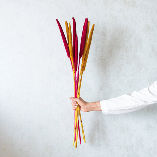 Summer Blaze Millet Sticks (Set of 10)