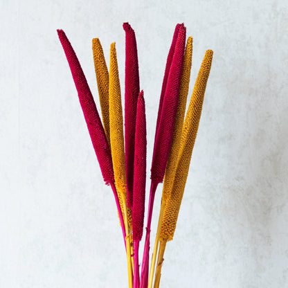 Summer Blaze Millet Sticks (Set of 10)