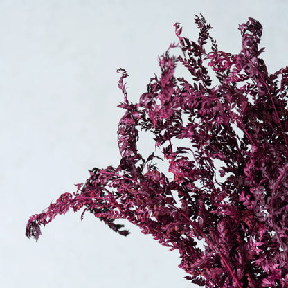 Fern Leaves (12 Pcs)