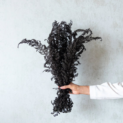 Fern Leaves (12 Pcs)