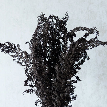 Fern Leaves (12 Pcs)