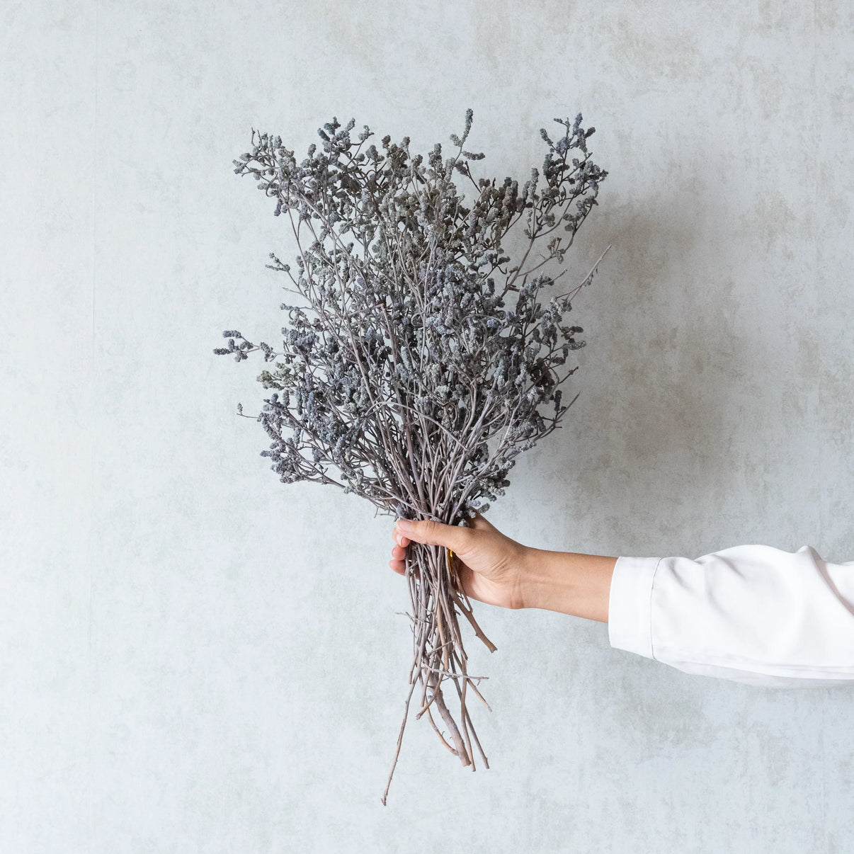 Grey Dried German Statice Grass (100 Grams) Flowers and Fillers