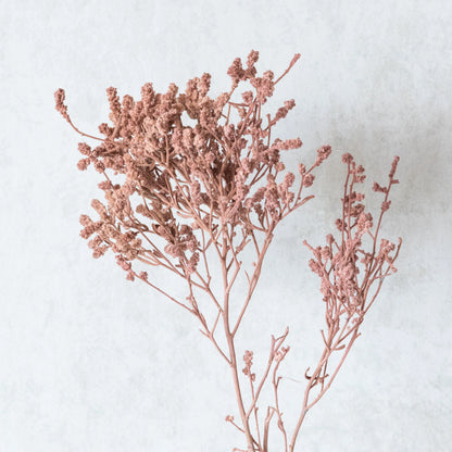 Pinkish Brown Dried German Statice Grass (100 Grams)