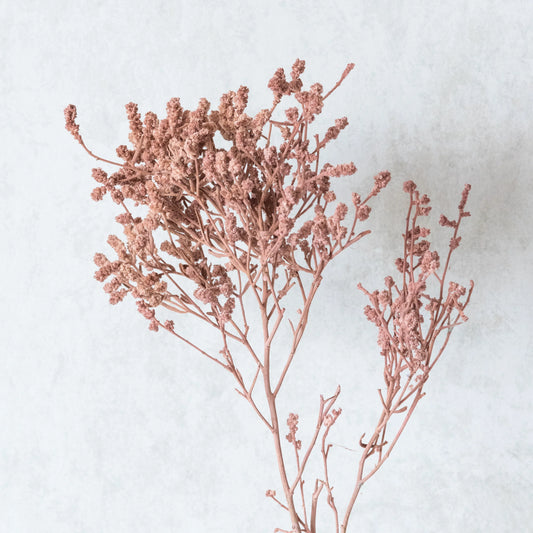 Pinkish Brown Dried German Statice Grass (100 Grams)