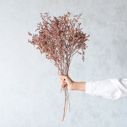 Pinkish Brown Dried German Statice Grass (100 Grams)