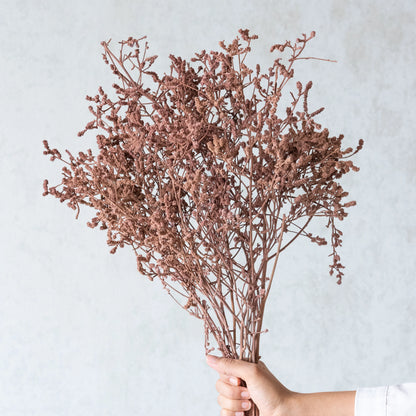 Pinkish Brown Dried German Statice Grass (100 Grams)