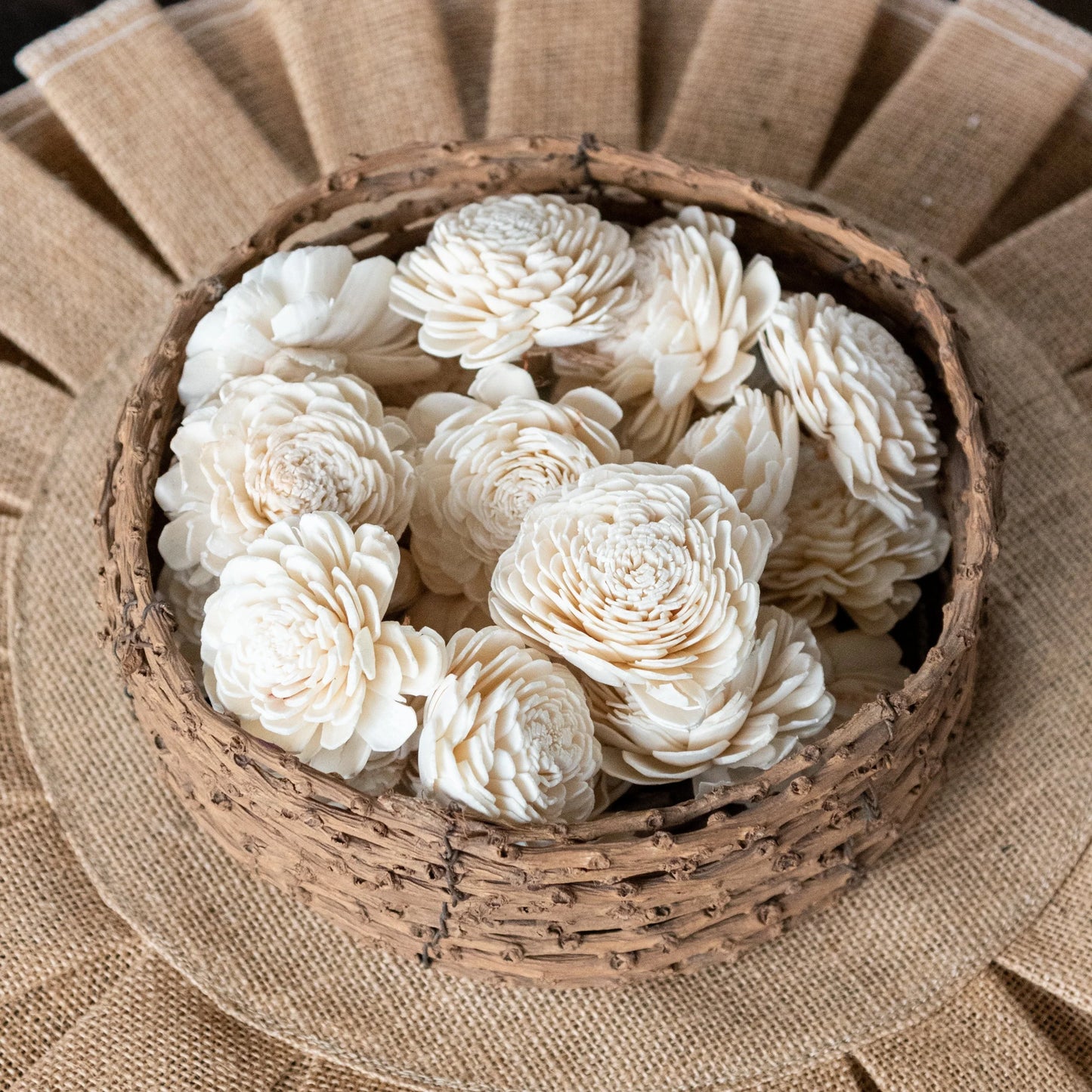 Sola Belly Flower 6 cm (Pack of 20)