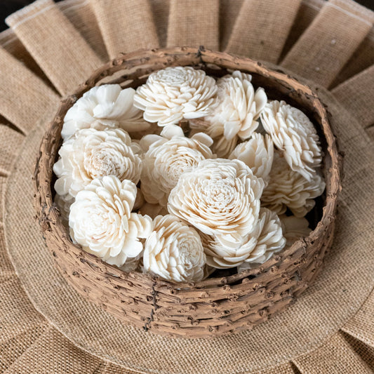 Sola Belly Flower 6 cm (Pack of 20)