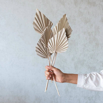 Palm Spear / Palm Leaf (Pack Of 5) (Colours Avaialble)