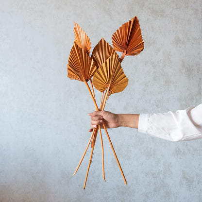 Palm Spear / Palm Leaf (Pack Of 5) (Colours Avaialble)