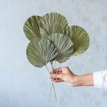 Round Green Palm Leaves (Set of 5)