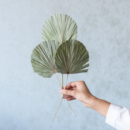 Round Green Palm Leaves (Set of 5)