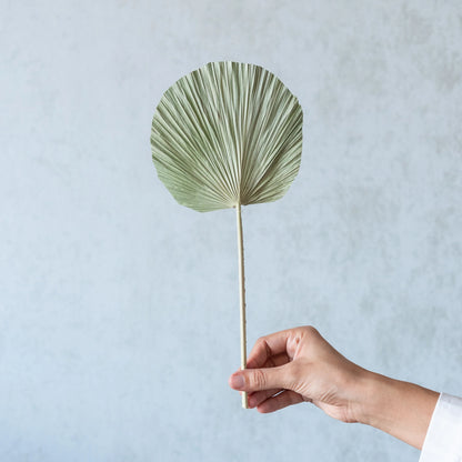 Round Green Palm Leaves (Set of 5)