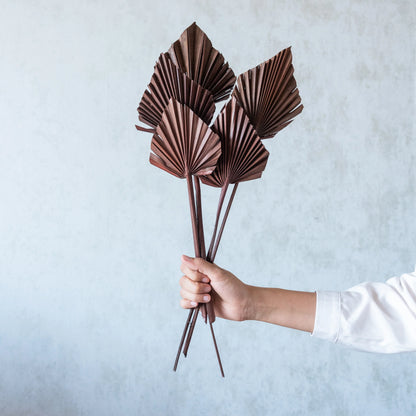 Palm Spear / Palm Leaf (Pack Of 5) (Colours Avaialble)