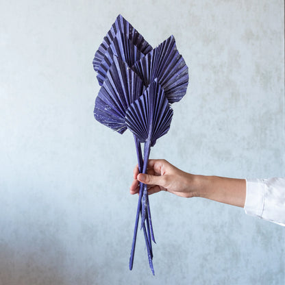 Palm Spear / Palm Leaf (Pack Of 5) (Colours Avaialble)