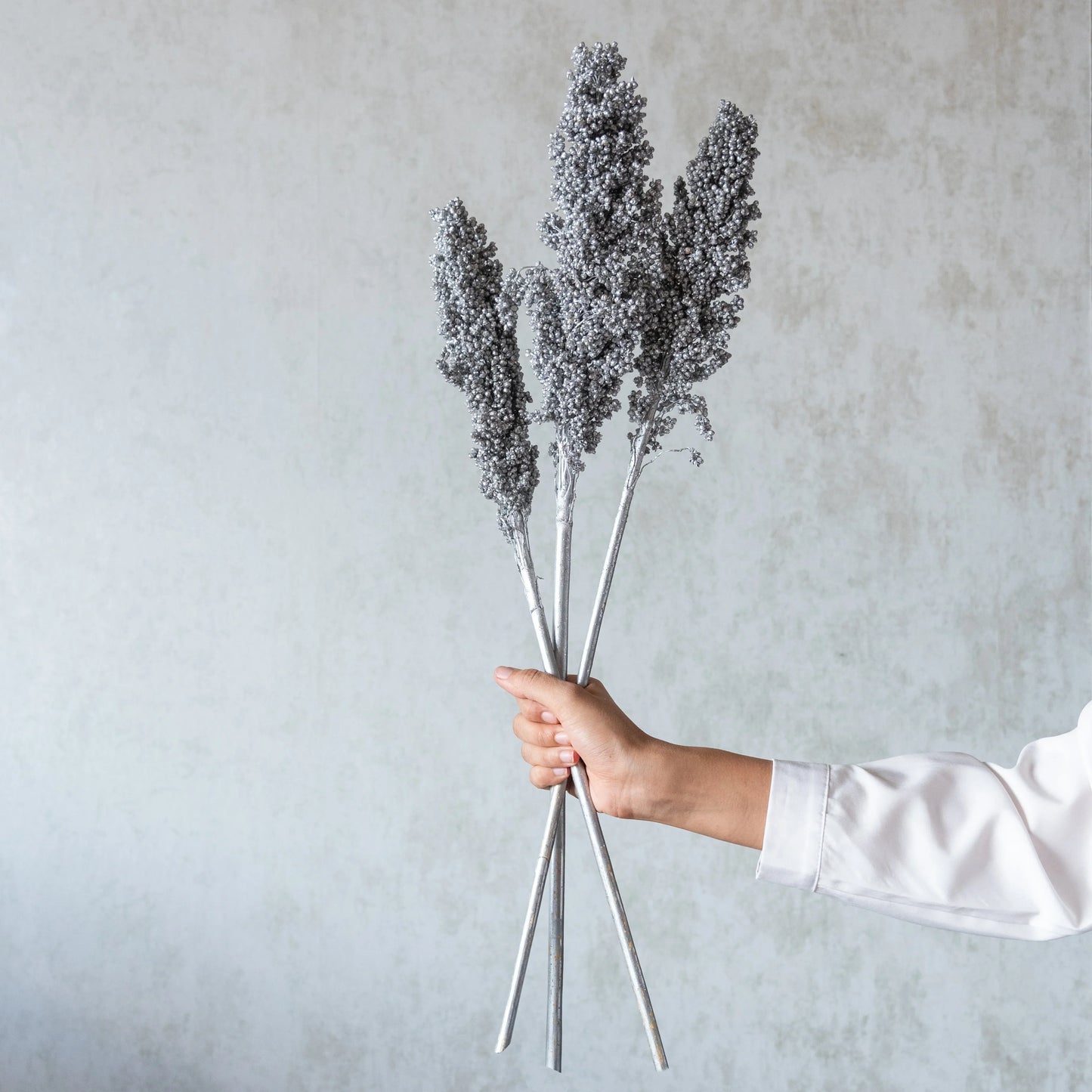 Silver Corn Stems (3 Sticks)