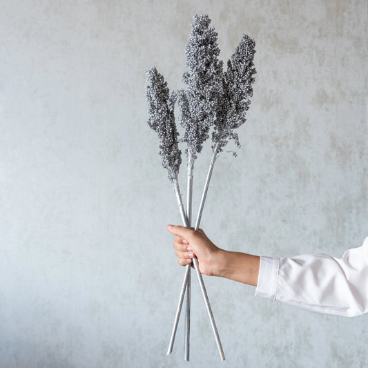 Silver Corn Stems (3 Sticks)