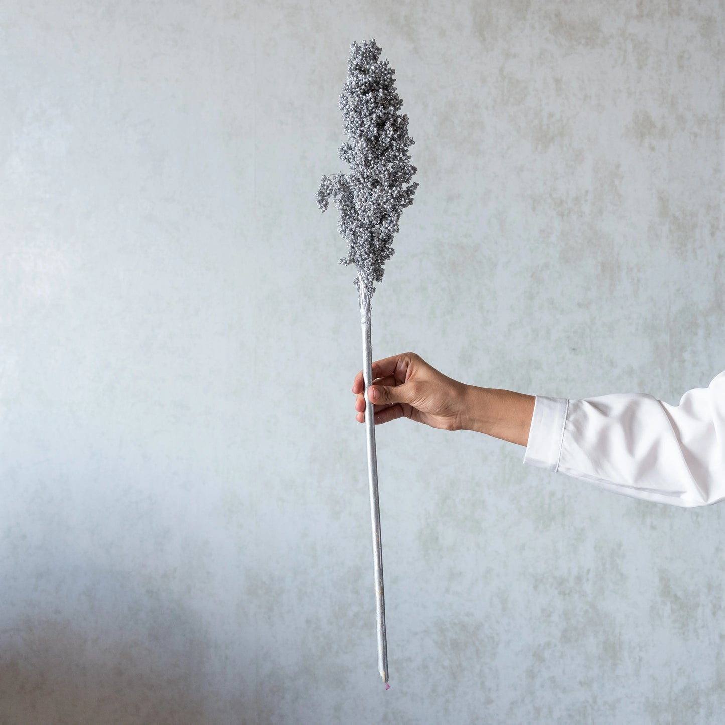 Silver Corn Stems (3 Sticks)