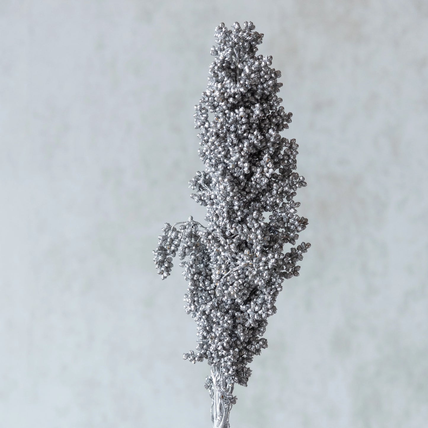 Silver Corn Stems (3 Sticks)