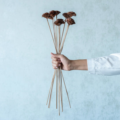Cedar Wood Rose Sticks  (10 sticks)