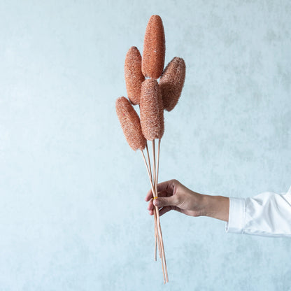 Decorative Luffa Sticks