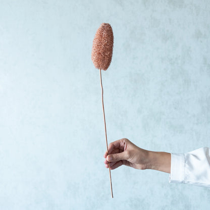 Decorative Luffa Sticks