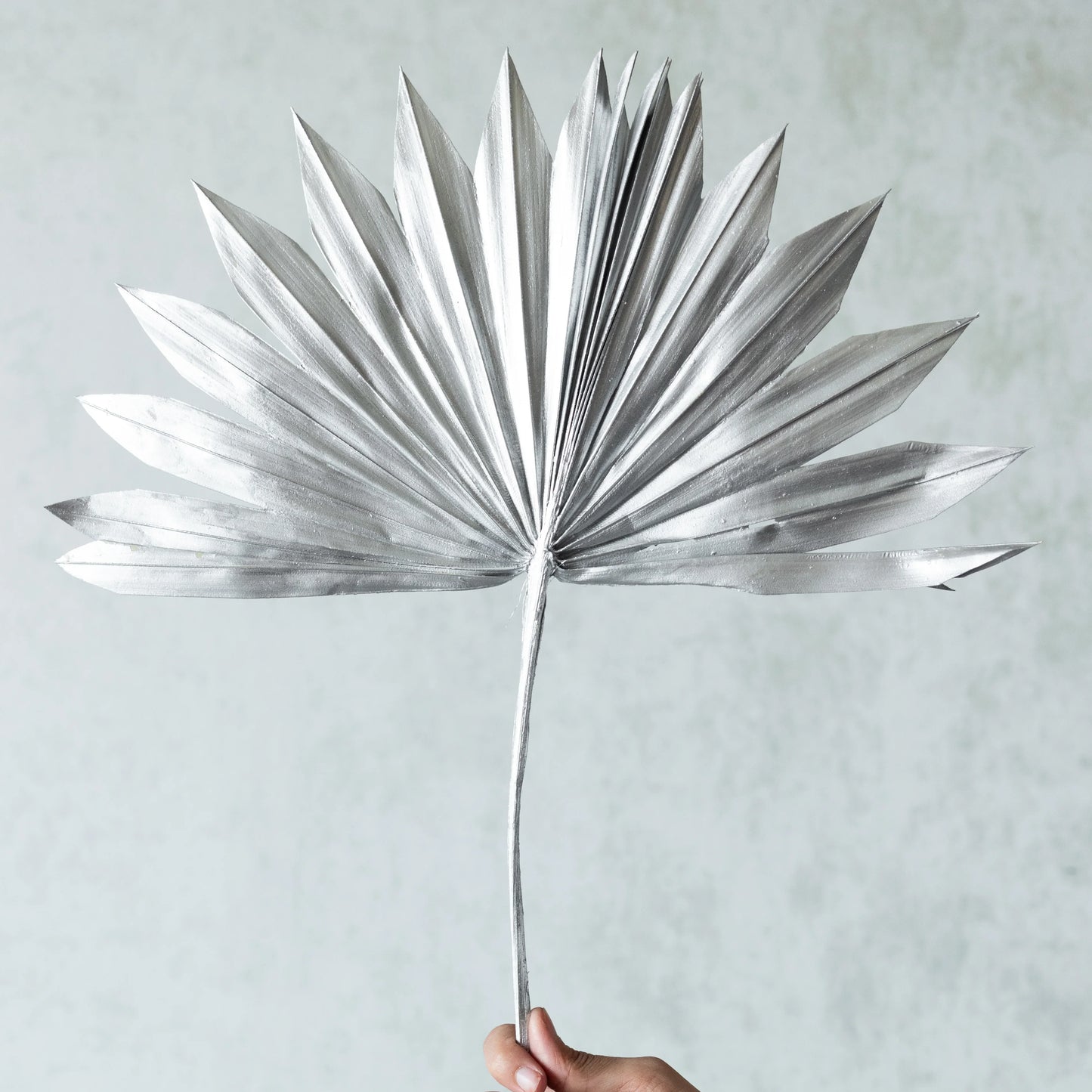 Silver Sun Palm Spears (Set Of 3 Pcs)