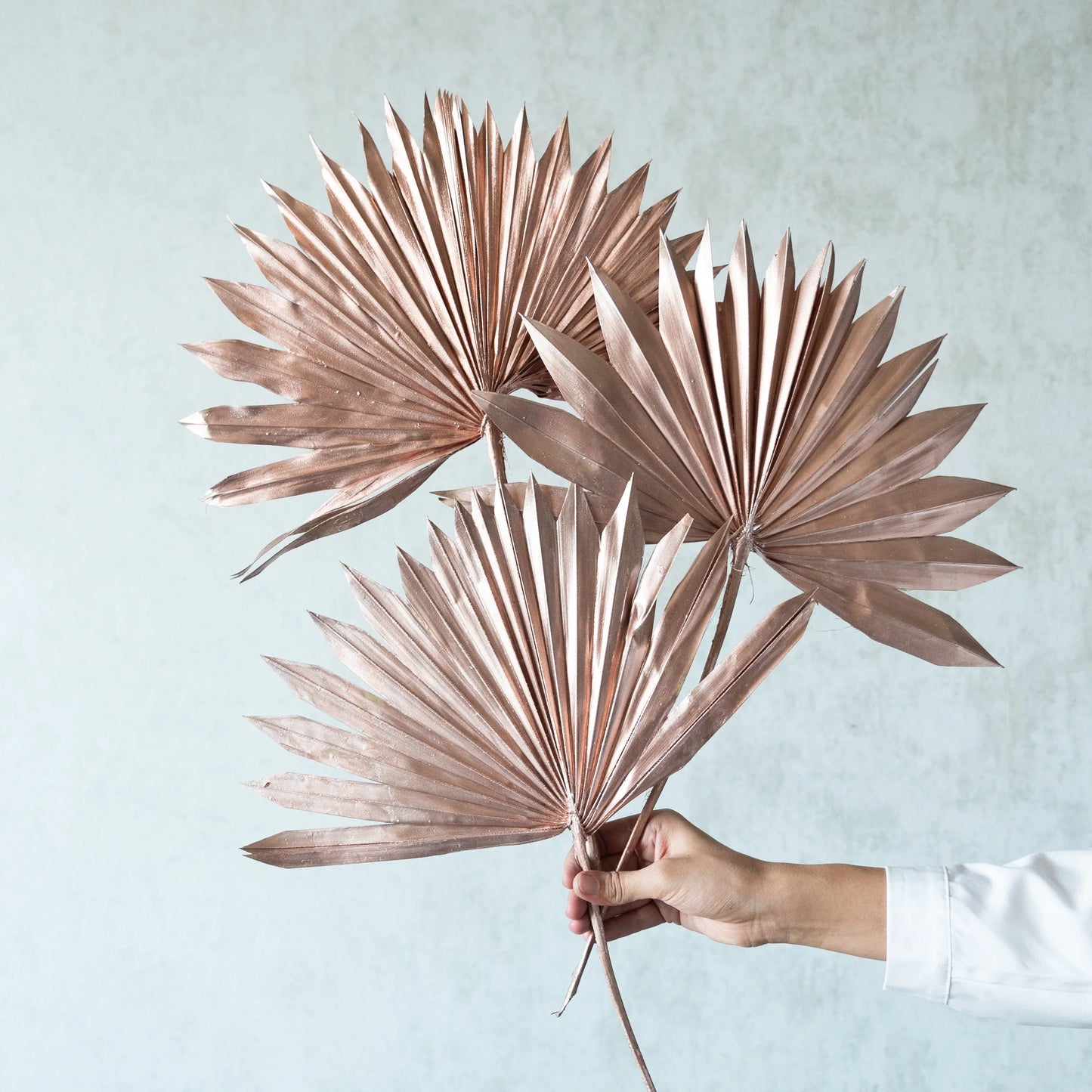 Rosegold Sun Palm Spears (Set Of 3 Pcs)