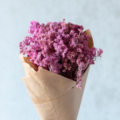 Light Pink Everlasting Gypsy Bunch