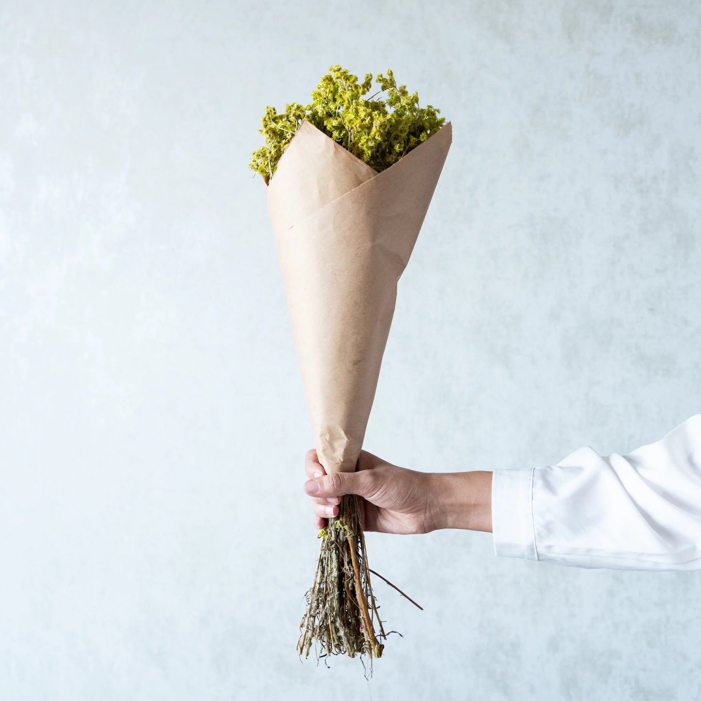 Neon Green Everlasting Gypsy Bunch