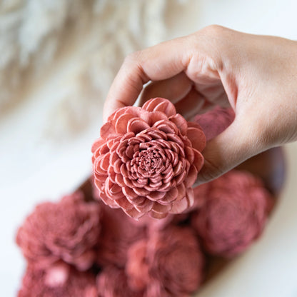 Rustic Pink Sola Belly Flower 6 cm (Pack of 10)