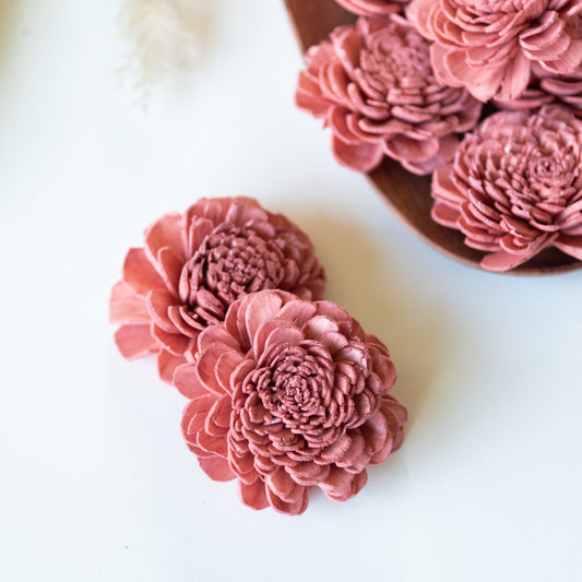 Rustic Pink Sola Belly Flower 6 cm (Pack of 10)