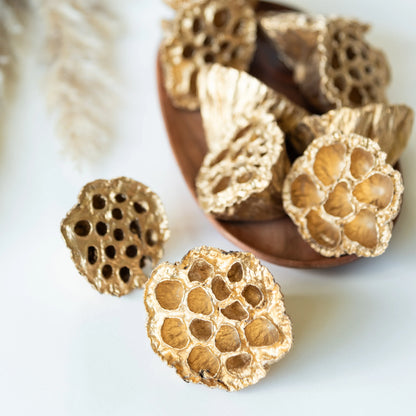 Golden Lotus Pods (Pack Of 10)