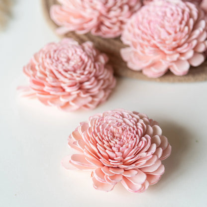 Blush Pink Sola Belly Flower 8 cm (Pack of 10)