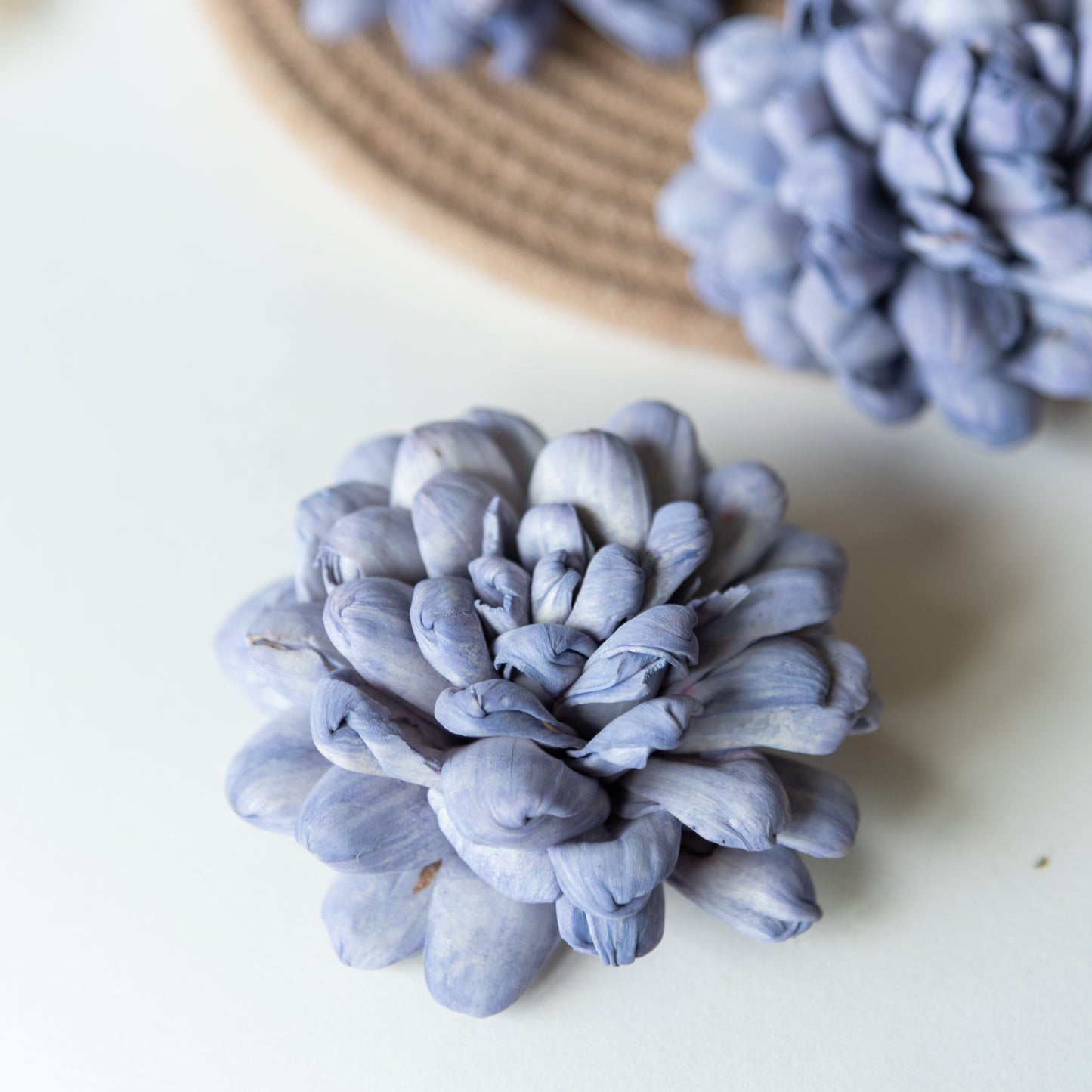 Lavender Sola Wood Flowers (Pack of 10)