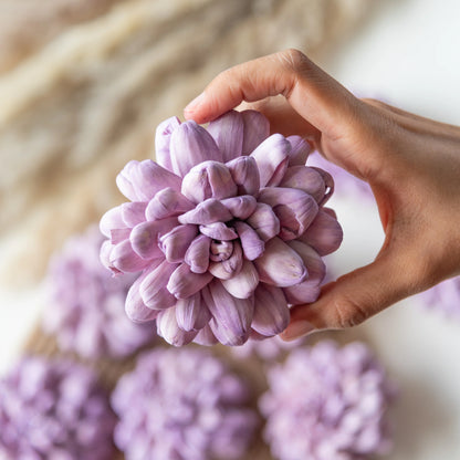 Lilac Sola Wood Flowers (Pack of 10)