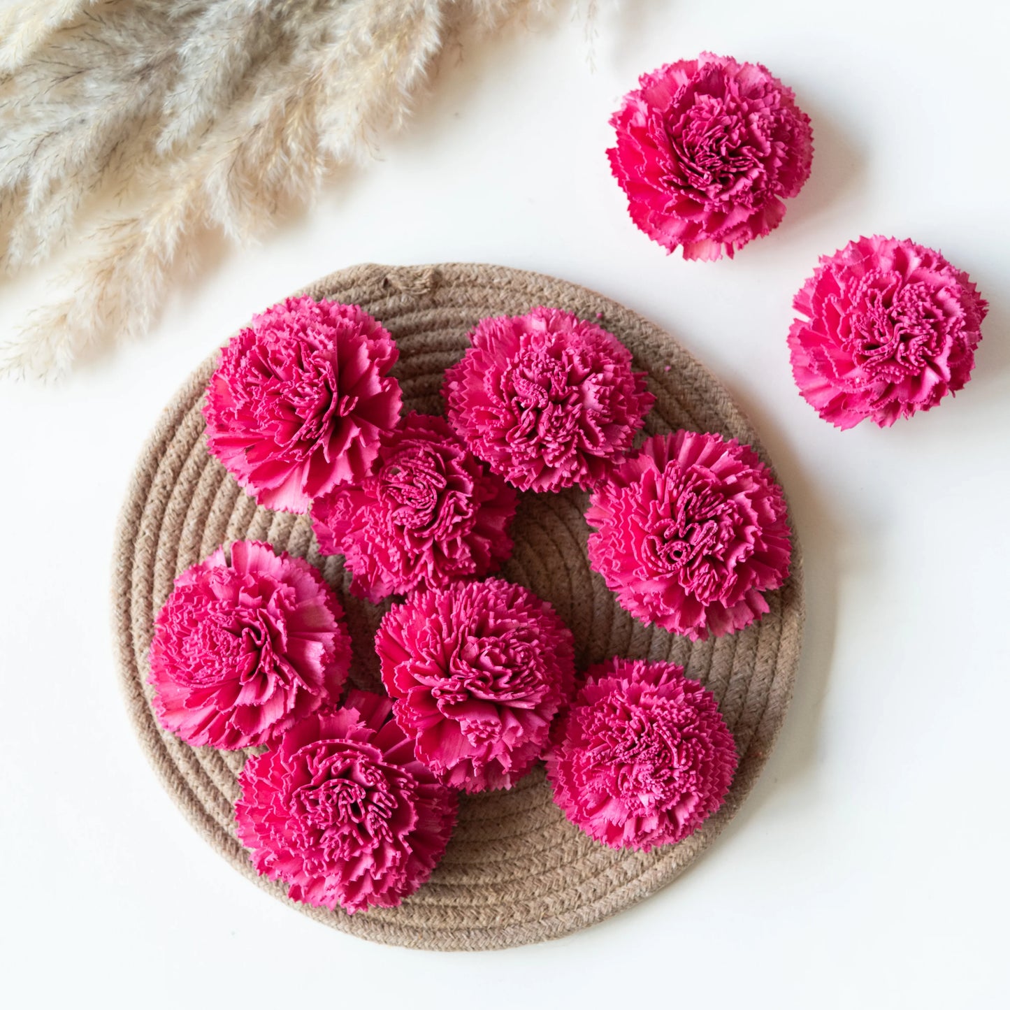 Hot Pink Sola Wood Carnation Flowers (Pack of 10)