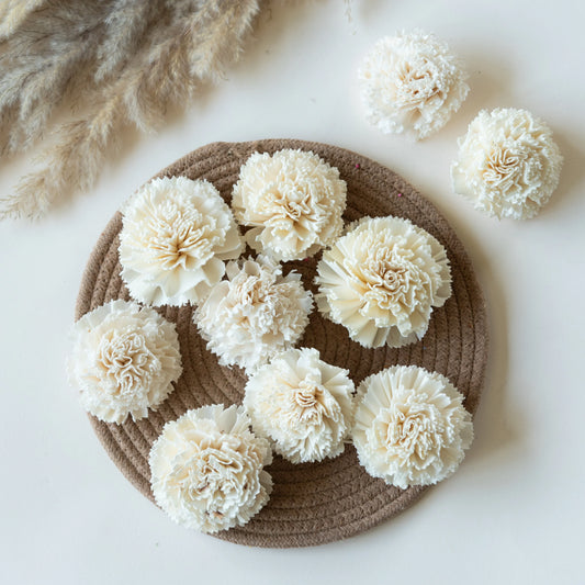 White Sola Wood Carnation Flowers (Pack of 10)