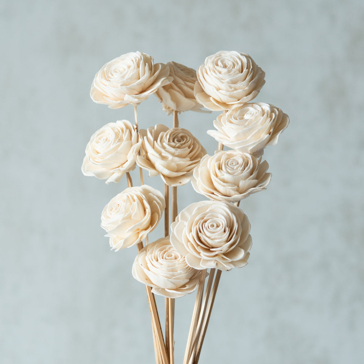 White Sola Beauty Rose Sticks (2 sticks)- BYOB