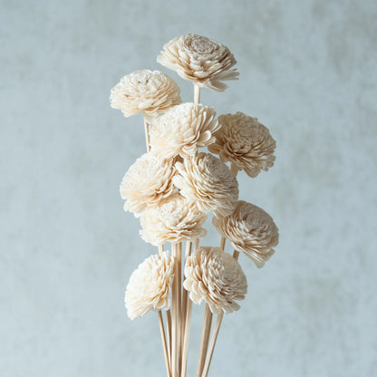White Sola Belly Flower Sticks (10 Sticks)