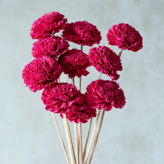 Hot Pink Carnation Sola Flower Sticks (10 sticks)