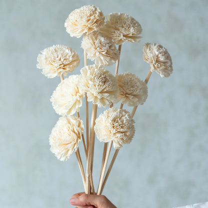 White Carnation Sola Flower Sticks (10 sticks)
